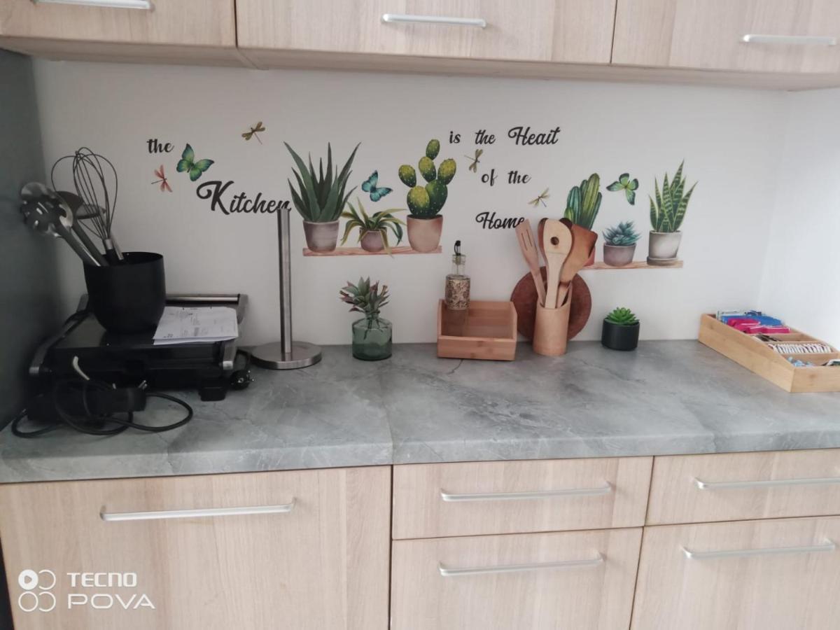 Grand Appartement Au Coeur De Strasbourg Ngoại thất bức ảnh